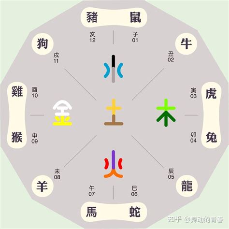 子五行属什么|子字的五行属性是什么